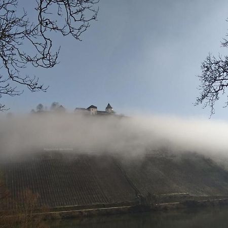 Moselblick Lägenhet Pünderich Exteriör bild