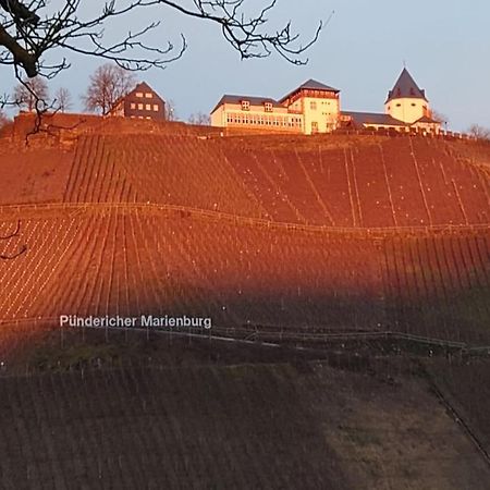 Moselblick Lägenhet Pünderich Exteriör bild