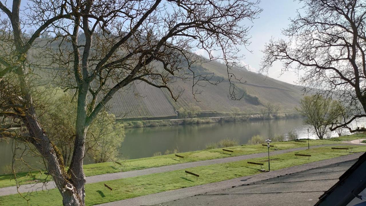 Moselblick Lägenhet Pünderich Exteriör bild