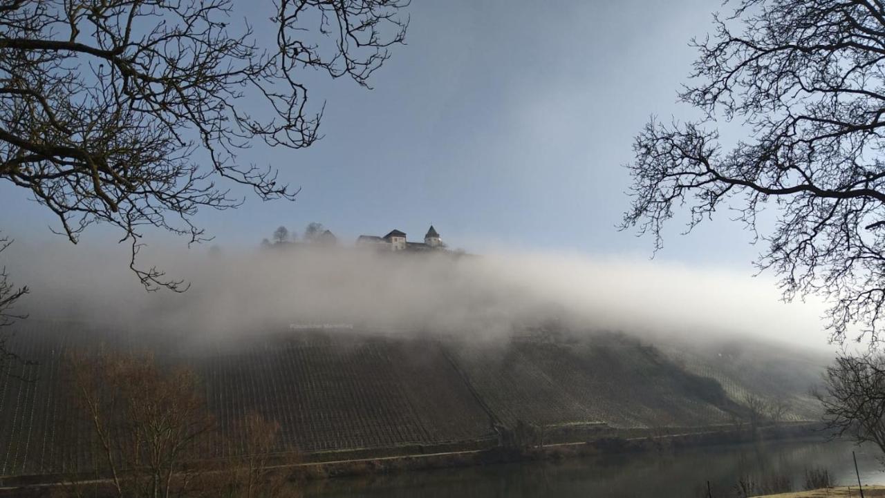 Moselblick Lägenhet Pünderich Exteriör bild