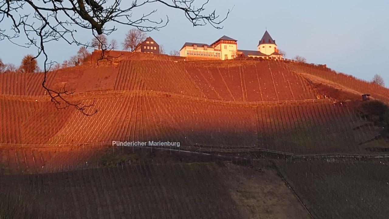 Moselblick Lägenhet Pünderich Exteriör bild