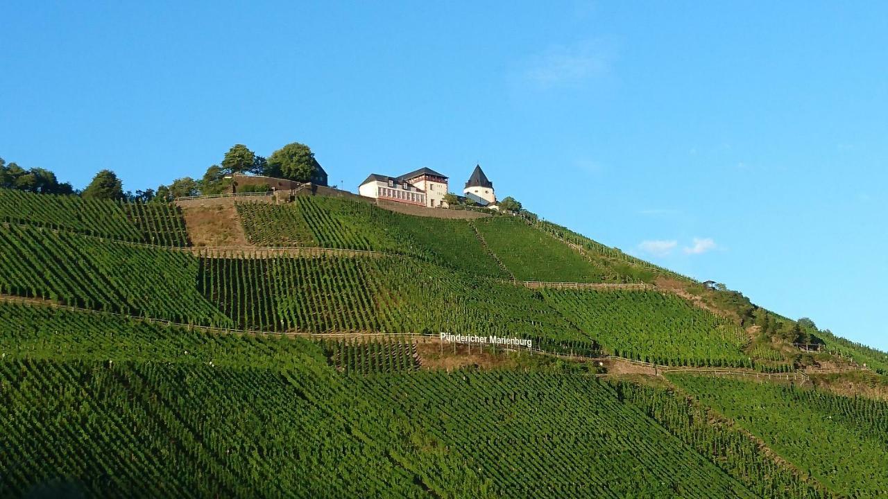 Moselblick Lägenhet Pünderich Exteriör bild